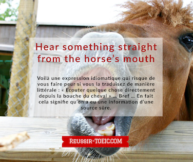  Hear something straight from the horse’s mouth 